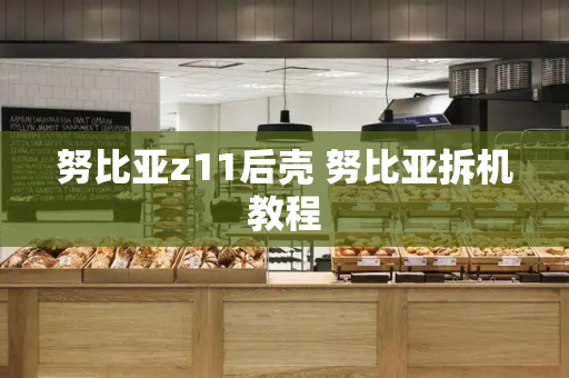 努比亚z11后壳 努比亚拆机教程