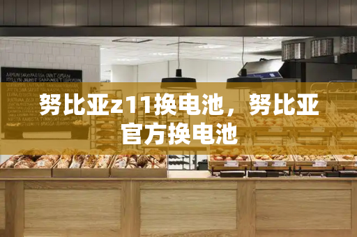 努比亚z11换电池，努比亚官方换电池
