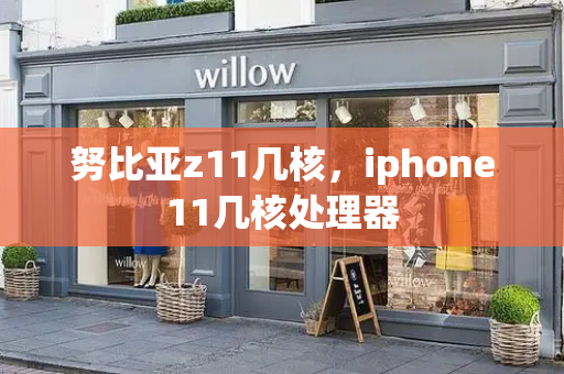 努比亚z11几核，iphone11几核处理器
