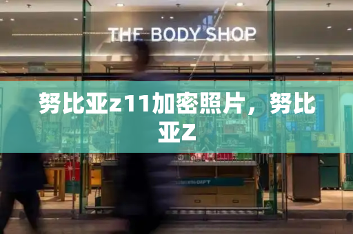努比亚z11加密照片，努比亚Z