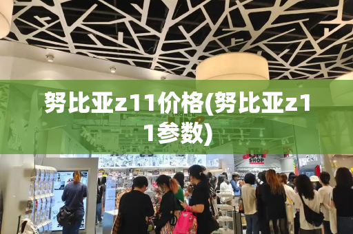 努比亚z11价格(努比亚z11参数)-第1张图片-星选测评