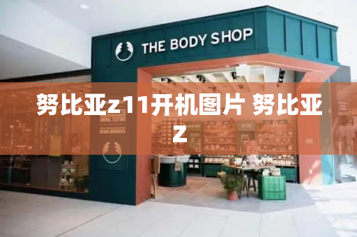 努比亚z11开机图片 努比亚Z-第1张图片-星选测评