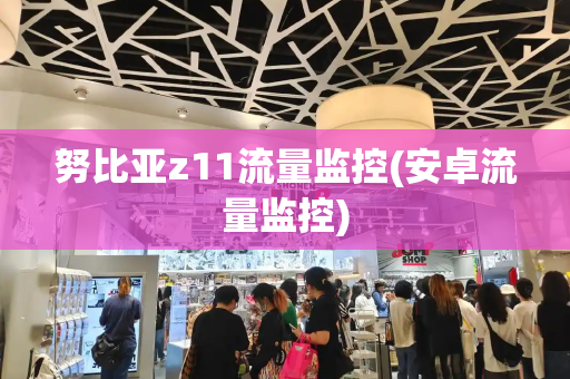 努比亚z11流量监控(安卓流量监控)