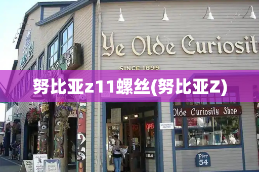 努比亚z11螺丝(努比亚Z)-第1张图片-星选测评