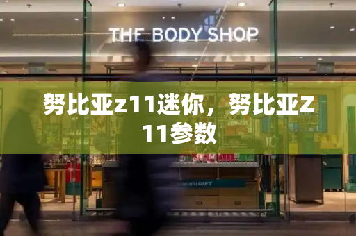 努比亚z11迷你，努比亚Z11参数