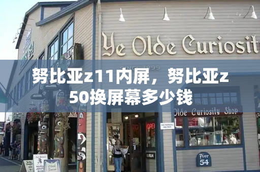 努比亚z11内屏，努比亚z50换屏幕多少钱-第1张图片-星选测评