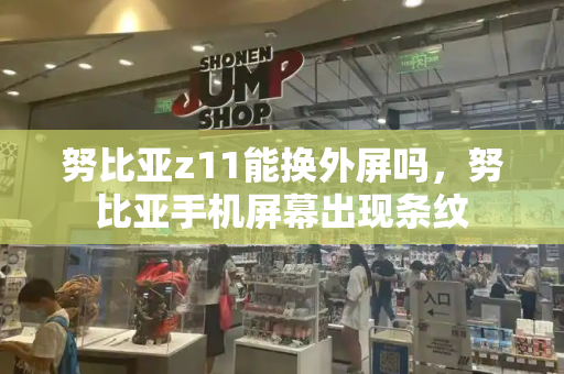 努比亚z11能换外屏吗，努比亚手机屏幕出现条纹