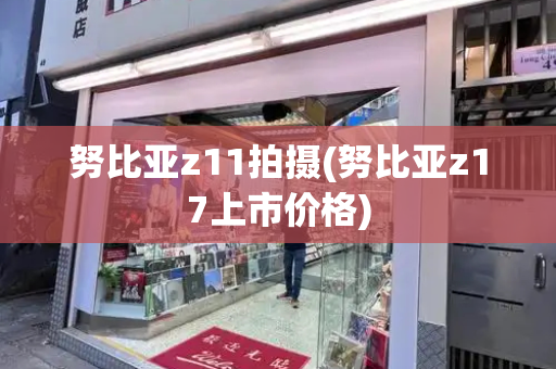 努比亚z11拍摄(努比亚z17上市价格)-第1张图片-星选测评