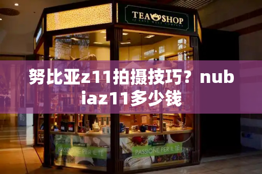 努比亚z11拍摄技巧？nubiaz11多少钱-第1张图片-星选测评