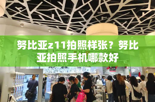 努比亚z11拍照样张？努比亚拍照手机哪款好