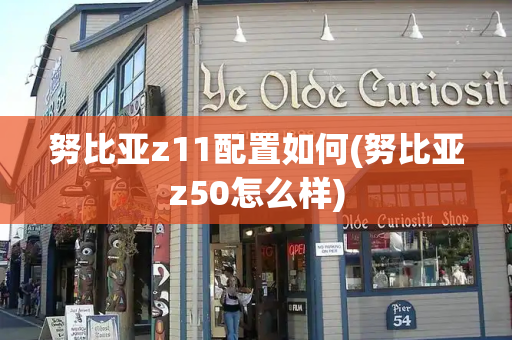 努比亚z11配置如何(努比亚z50怎么样)