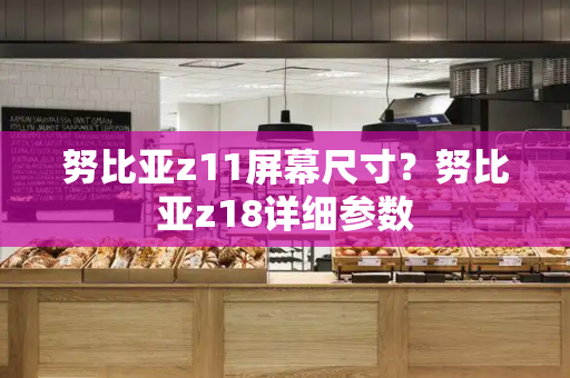 努比亚z11屏幕尺寸？努比亚z18详细参数