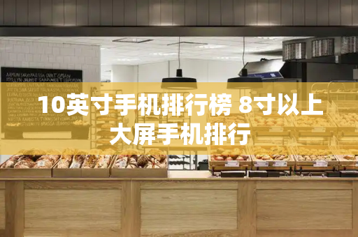 10英寸手机排行榜 8寸以上大屏手机排行-第1张图片-星选测评