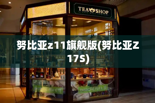 努比亚z11旗舰版(努比亚Z17S)