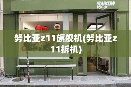 努比亚z11旗舰机(努比亚z11拆机)