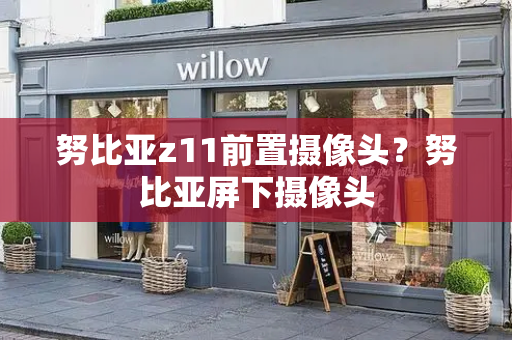 努比亚z11前置摄像头？努比亚屏下摄像头