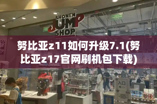 努比亚z11如何升级7.1(努比亚z17官网刷机包下载)