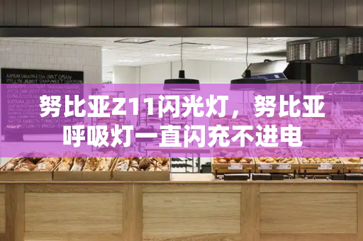 努比亚Z11闪光灯，努比亚呼吸灯一直闪充不进电-第1张图片-星选测评