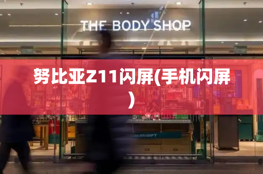 努比亚Z11闪屏(手机闪屏)-第1张图片-星选测评