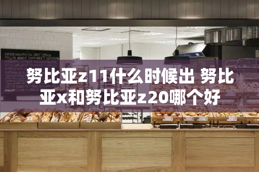 努比亚z11什么时候出 努比亚x和努比亚z20哪个好