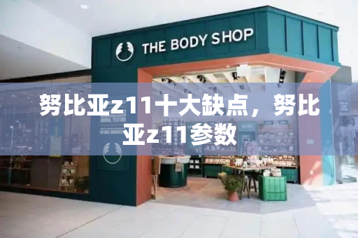 努比亚z11十大缺点，努比亚z11参数-第1张图片-星选测评