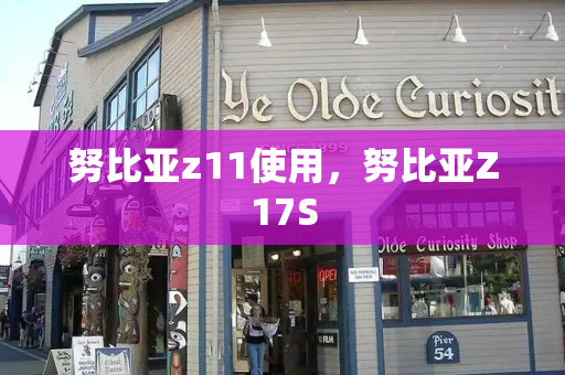 努比亚z11使用，努比亚Z17S