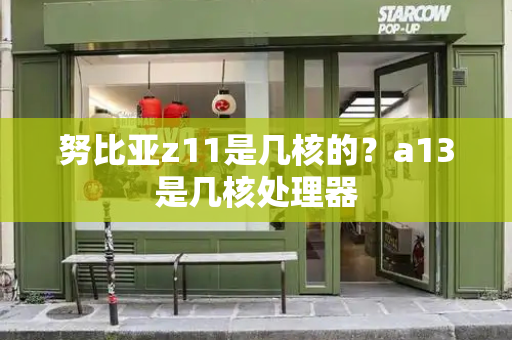 努比亚z11是几核的？a13是几核处理器