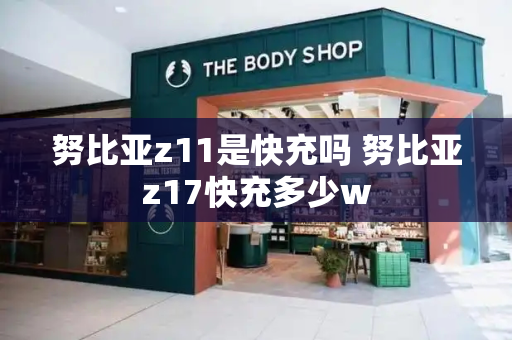 努比亚z11是快充吗 努比亚z17快充多少w