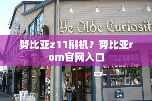努比亚z11刷机？努比亚rom官网入口