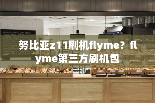 努比亚z11刷机flyme？flyme第三方刷机包-第1张图片-星选测评