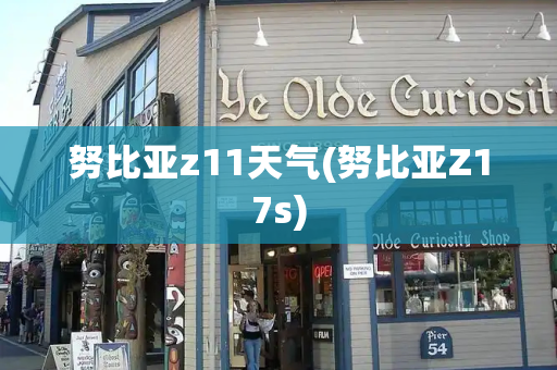 努比亚z11天气(努比亚Z17s)