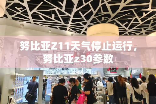 努比亚Z11天气停止运行，努比亚z30参数