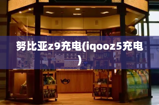 努比亚z9充电(iqooz5充电)
