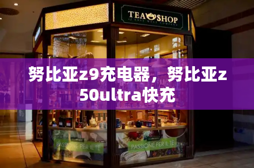 努比亚z9充电器，努比亚z50ultra快充