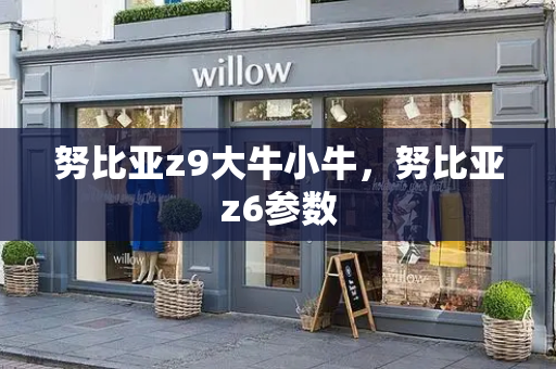 努比亚z9大牛小牛，努比亚z6参数