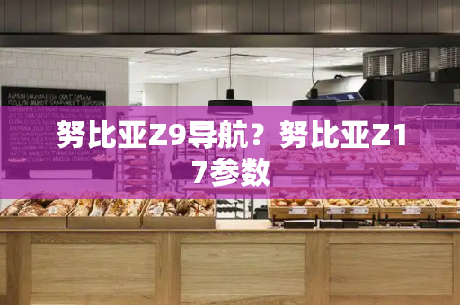 努比亚Z9导航？努比亚Z17参数