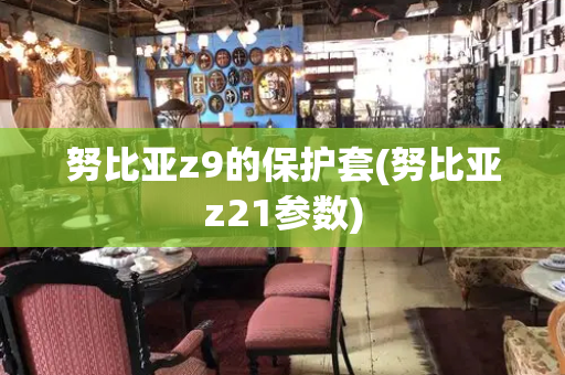 努比亚z9的保护套(努比亚z21参数)-第1张图片-星选测评