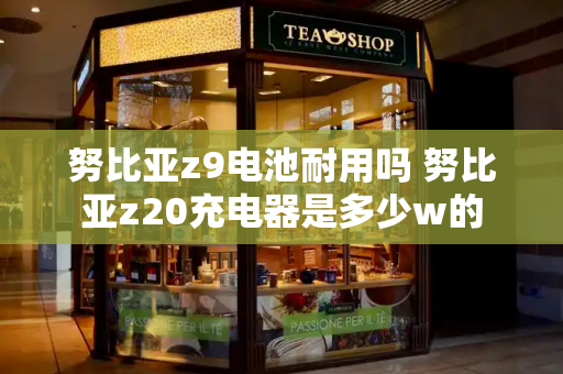 努比亚z9电池耐用吗 努比亚z20充电器是多少w的