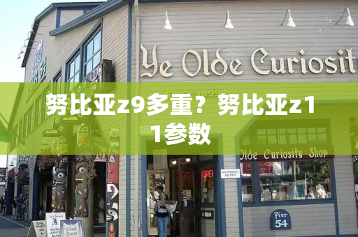 努比亚z9多重？努比亚z11参数