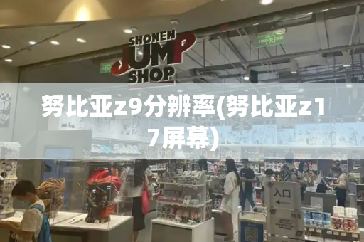努比亚z9分辨率(努比亚z17屏幕)-第1张图片-星选测评