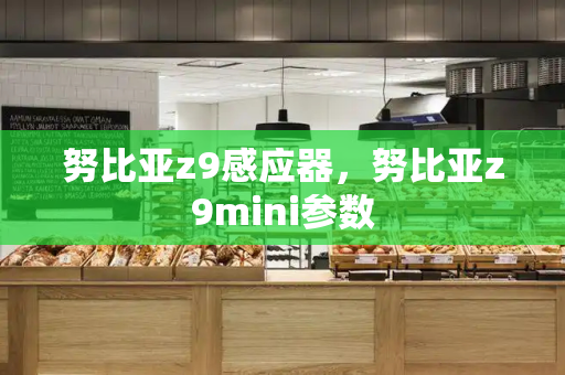 努比亚z9感应器，努比亚z9mini参数-第1张图片-星选测评