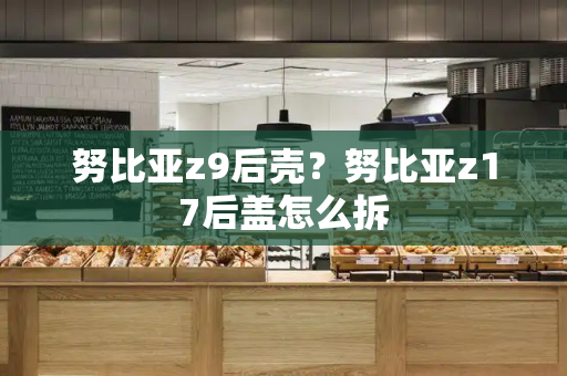 努比亚z9后壳？努比亚z17后盖怎么拆