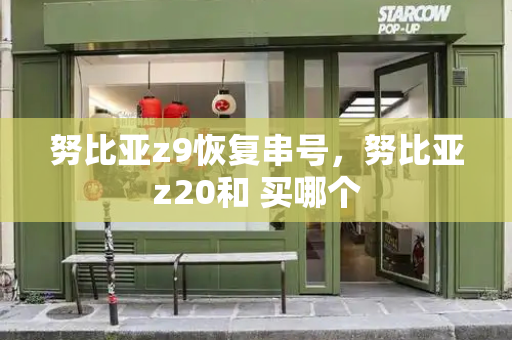 努比亚z9恢复串号，努比亚z20和 买哪个-第1张图片-星选测评