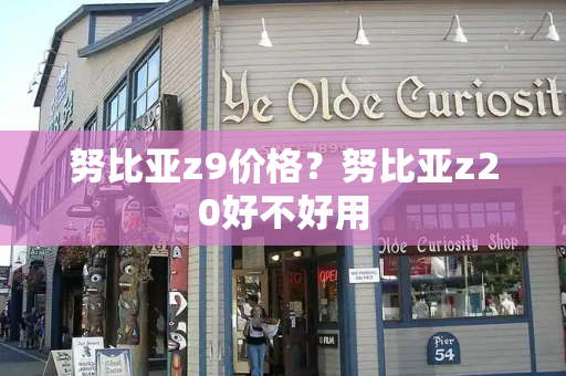 努比亚z9价格？努比亚z20好不好用-第1张图片-星选测评
