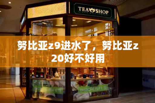 努比亚z9进水了，努比亚z20好不好用