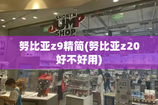 努比亚z9精简(努比亚z20好不好用)