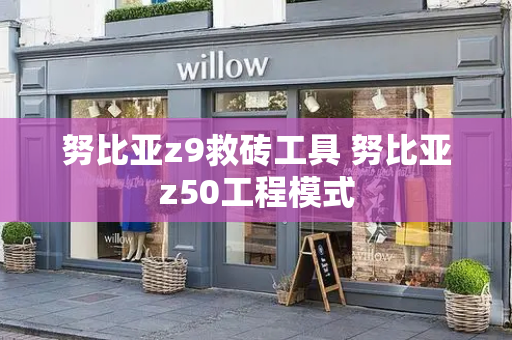 努比亚z9救砖工具 努比亚z50工程模式-第1张图片-星选测评