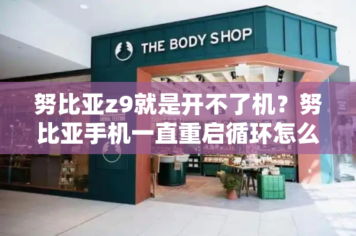 努比亚z9就是开不了机？努比亚手机一直重启循环怎么回事-第1张图片-星选测评