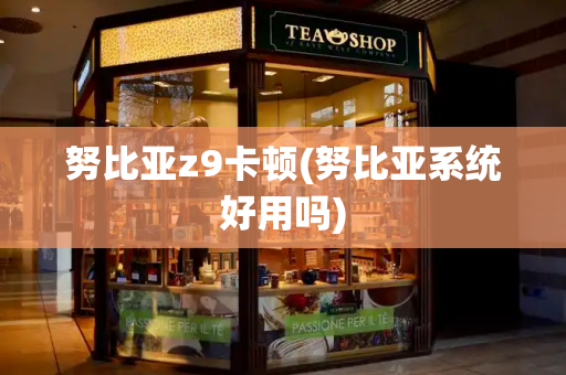 努比亚z9卡顿(努比亚系统好用吗)
