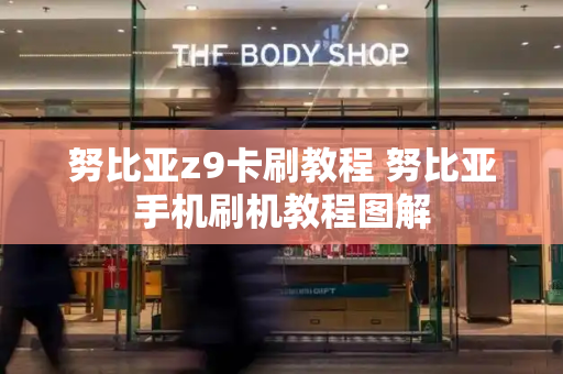 努比亚z9卡刷教程 努比亚手机刷机教程图解-第1张图片-星选测评